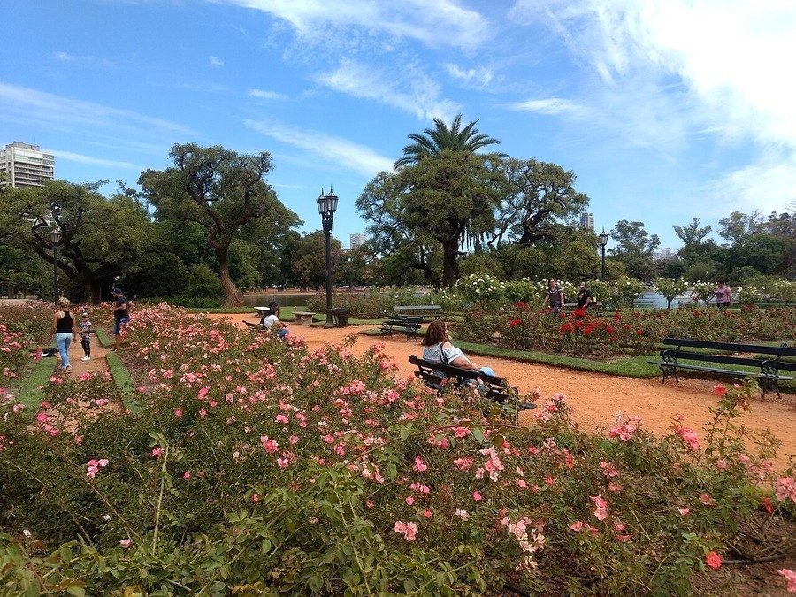 Bosques de Palermo & Rosedal