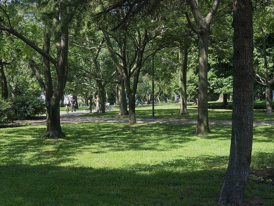 Parque Las Heras