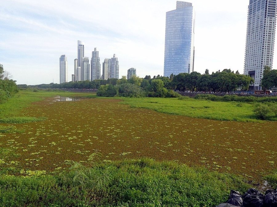 Reserva Ecológica Costanera Sur